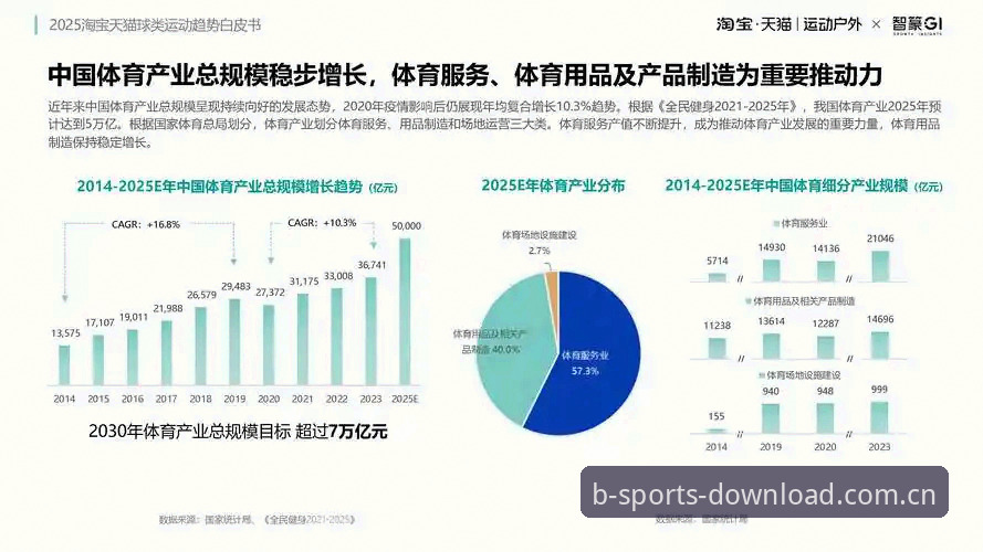 b体育平台2025版本详解：全新体验与行业趋势分析